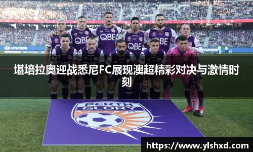 WE真人视讯平台