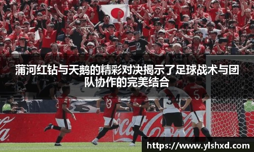 蒲河红钻与天鹅的精彩对决揭示了足球战术与团队协作的完美结合